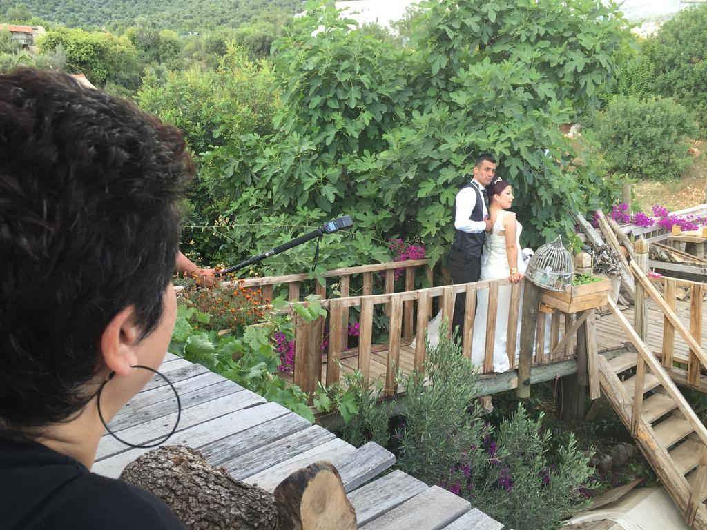 贝迈雷克塔斯埃伏尔乡村民宿 代姆雷 外观 照片