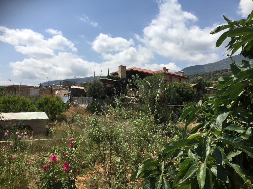 贝迈雷克塔斯埃伏尔乡村民宿 代姆雷 外观 照片
